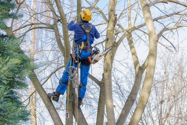  Newfield, NJ Tree Care Services Pros